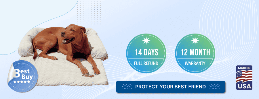 refund