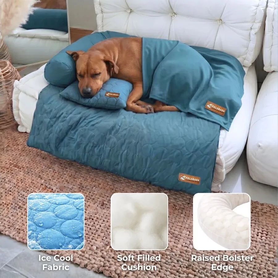 image dog