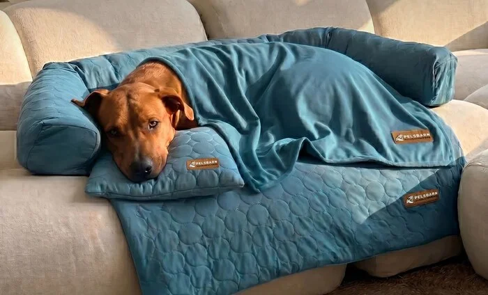 Dog Cooling Bed